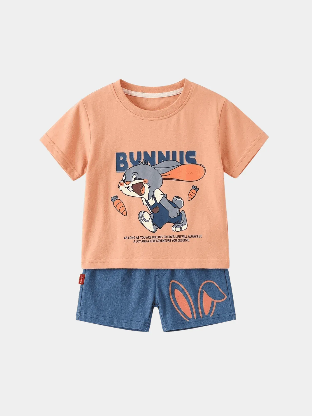 Boys Bunny Adventure T-shirt And Shorts Set